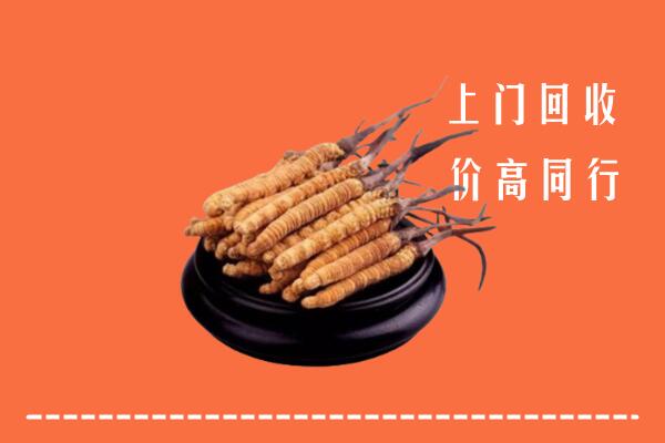 附近收购：白山市冬虫夏草回收多少钱每克