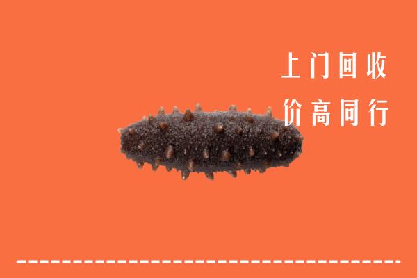 附近收购：白山市回收海参